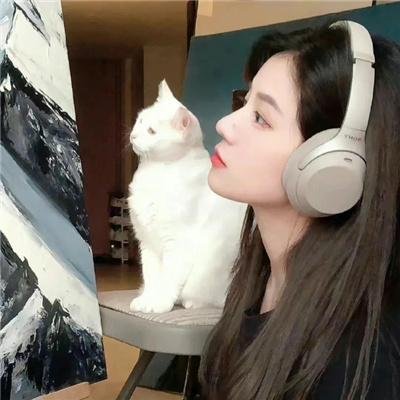 胡同猫